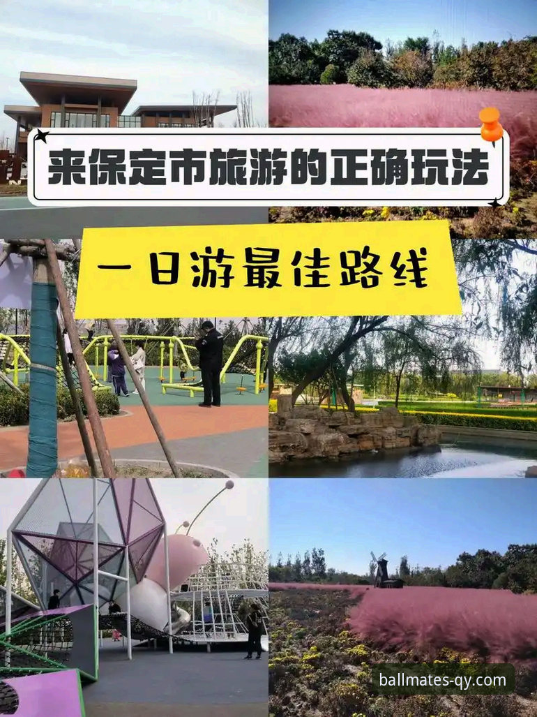 2026千亿球友会精彩旅程 2026千亿球友会精彩旅程完整指南:从新手到高手的全方位解析